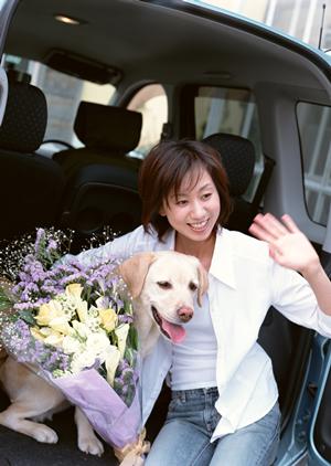 合宿免許には様々なプランがある