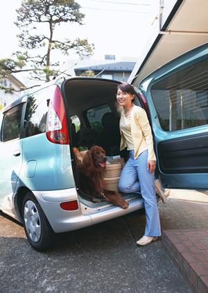 即日車検でオプションを選ぶ場合の魅力