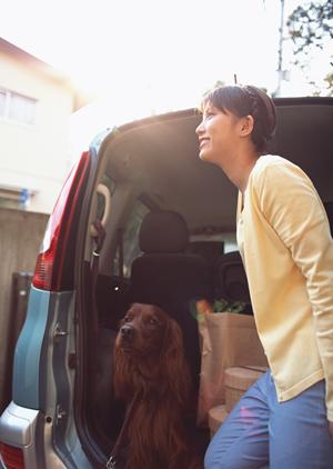 高品質な新車・中古車販売とアフターサービスを提供する日産サティオ高知 ちより街テラス店のご紹介