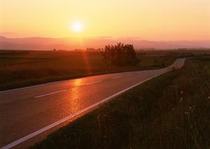 2025年最新版：ボディカバーの選び方と効果的な対策法完全ガイド