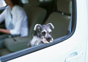 【最新版2025】倉敷で選ぶならこれ！カーリースのメリットとおすすめ業者徹底解説